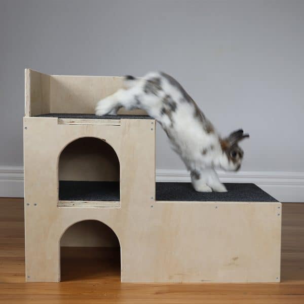 Double storey step castle inside view with rabbit jumping onto step (Frank)