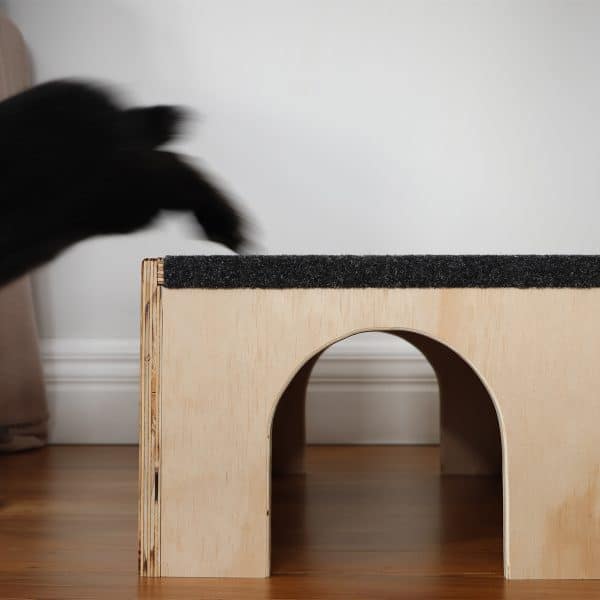Rabbit jumping off of freestanding tunnel