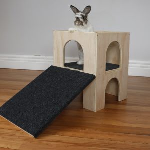 Single storey middle castle with ramp and rabbit standing up (Frank)