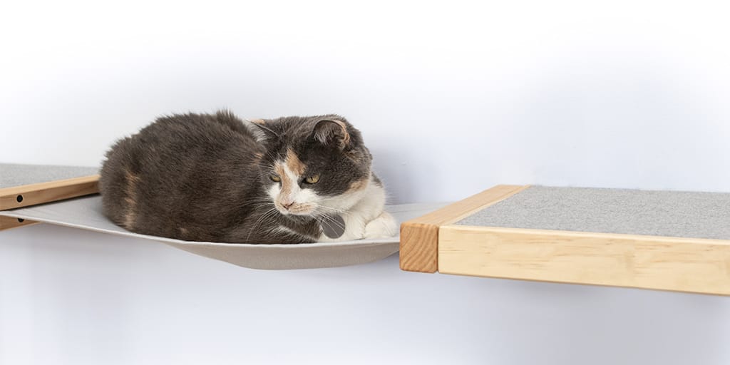 Wall mounted cat furniture - double shelf and hammock