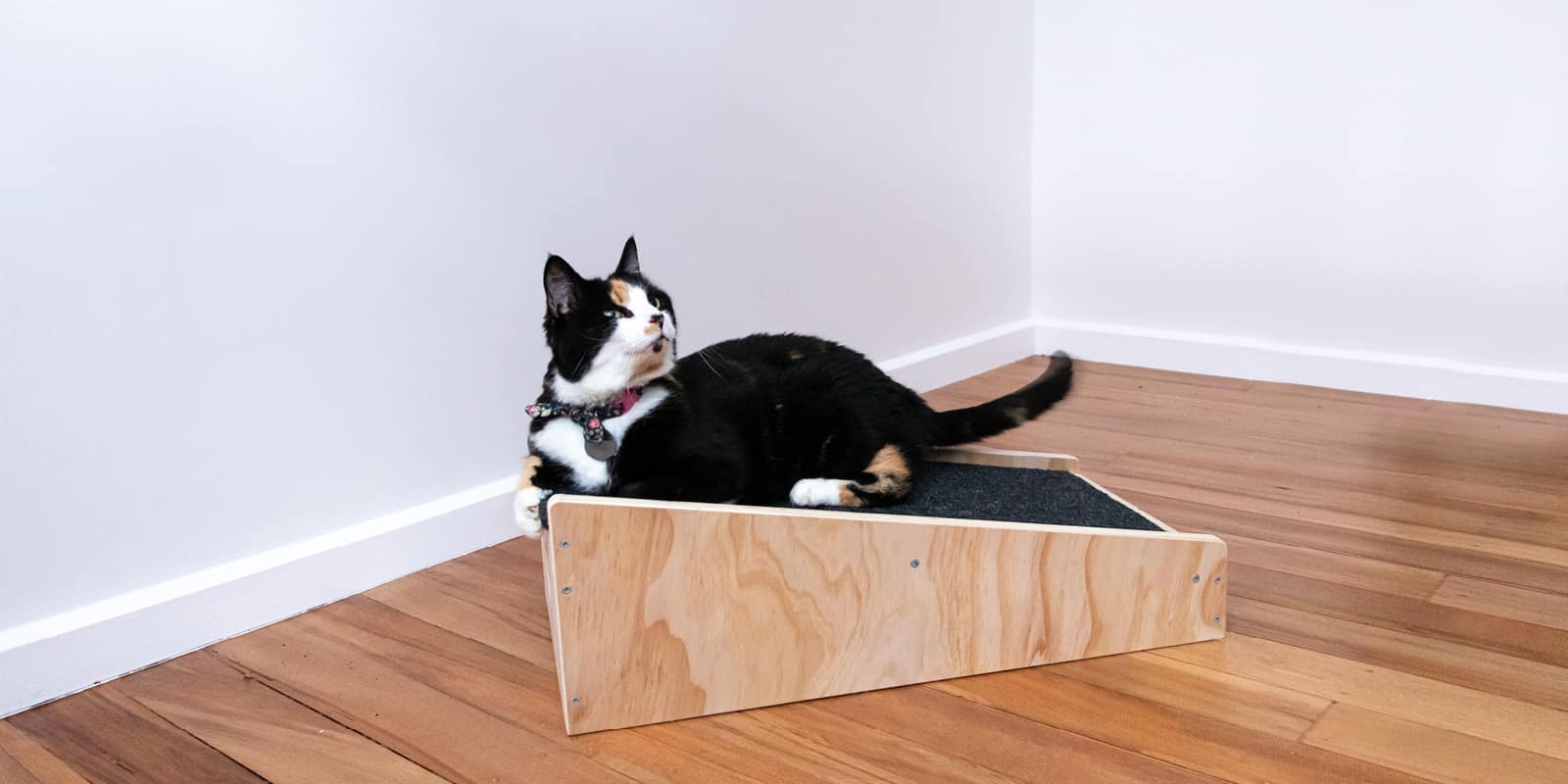 free standing cat furniture - carpet saver cat scratcher